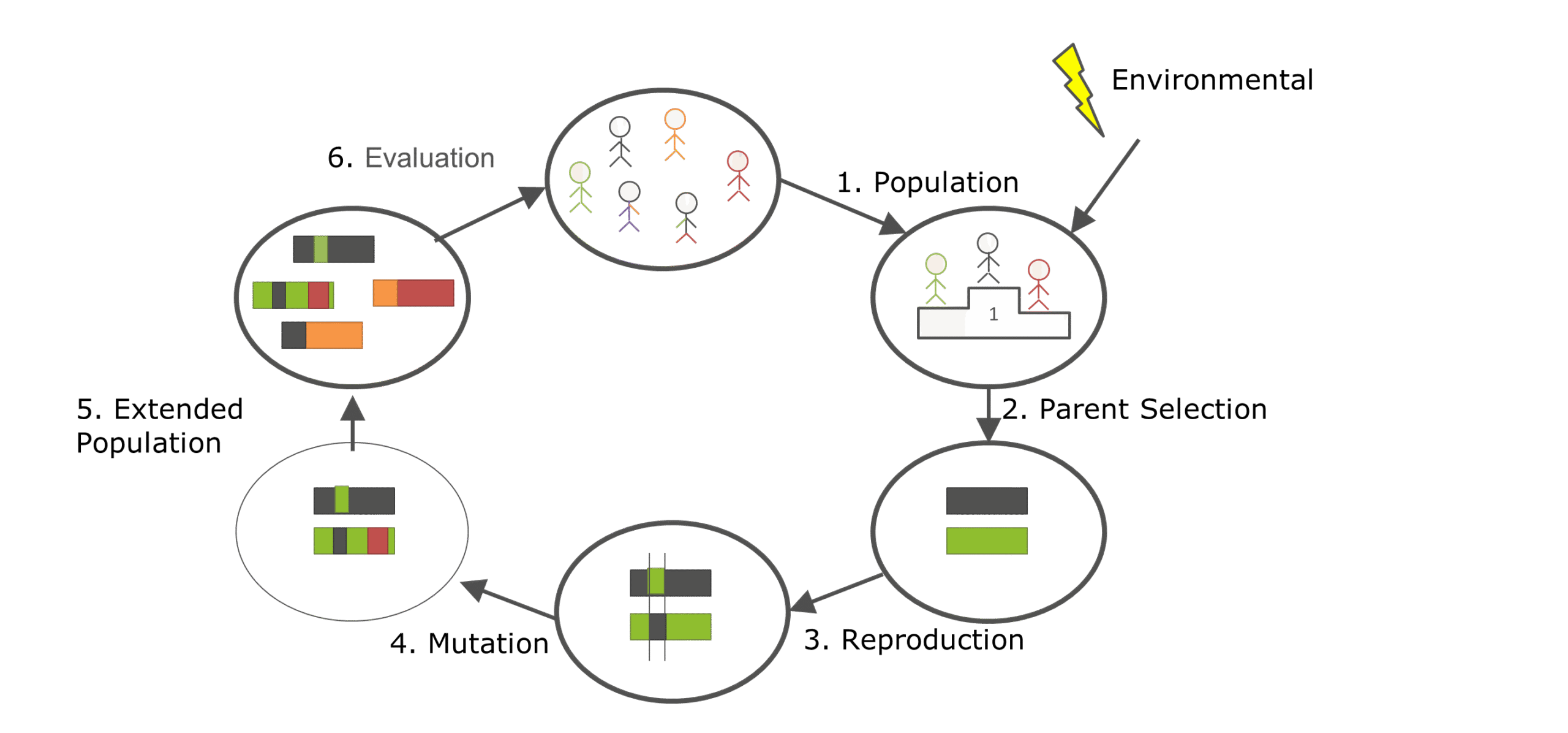 Optimization by means of evolution